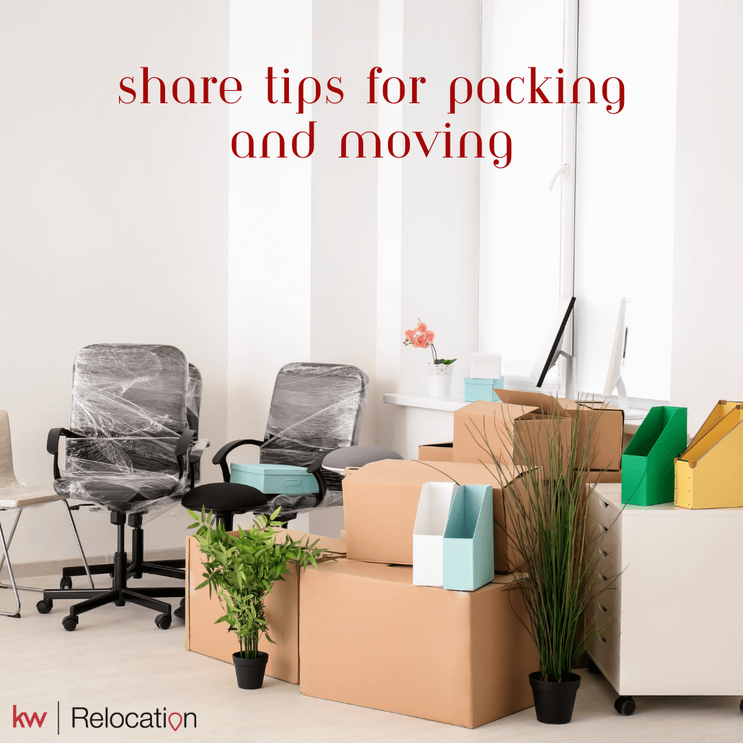 Master the Move Top Tips for Efficient Packing and Moving